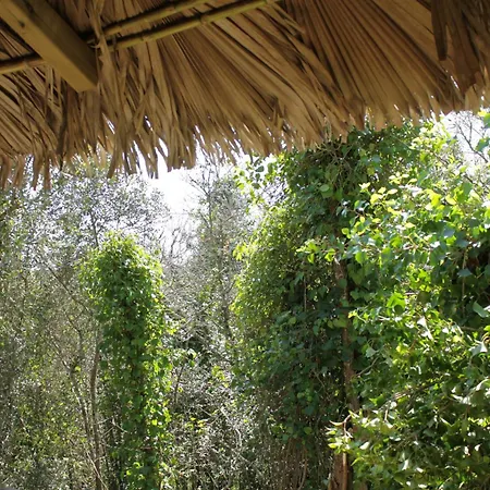 مكان تخييم Hidden Forest Retreat