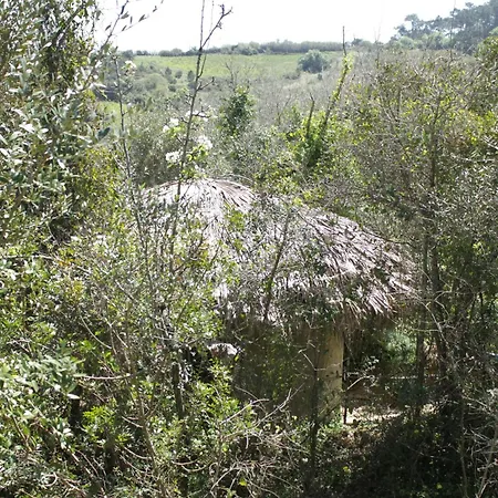 مكان تخييم Hidden Forest Retreat
