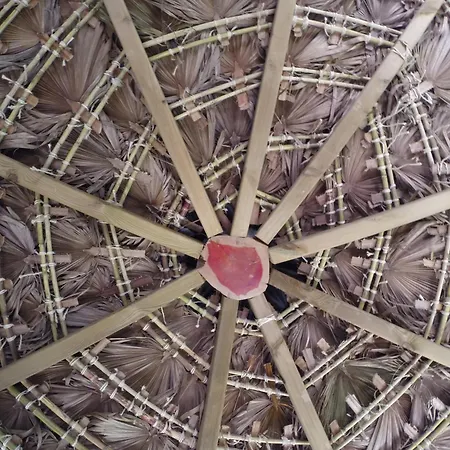 Hidden Forest Retreat Kemping