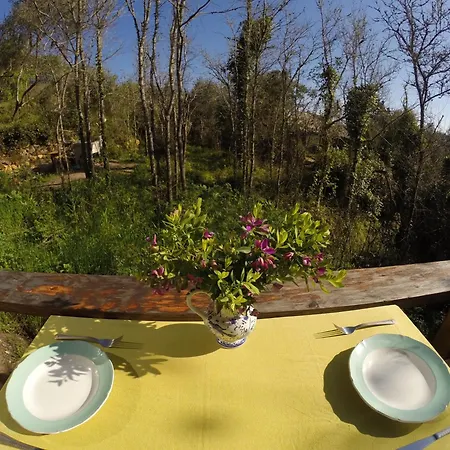 Hidden Forest Retreat Kemp Carvoeira