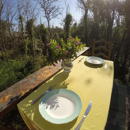 مكان تخييم Hidden Forest Retreat