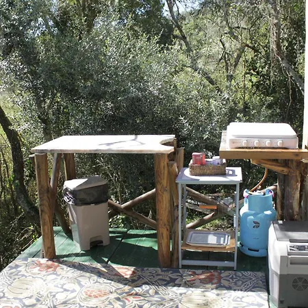 Hidden Forest Retreat Kemping Carvoeira