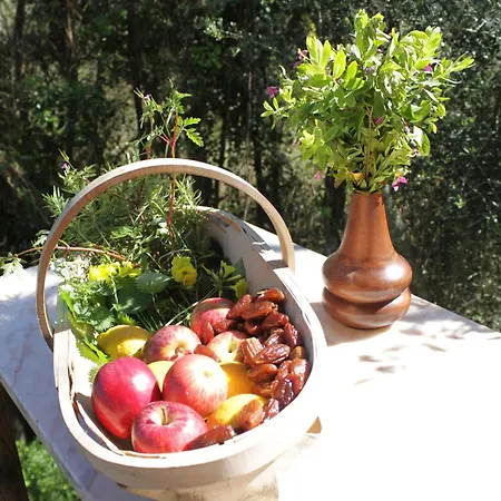 Kemp Hidden Forest Retreat *