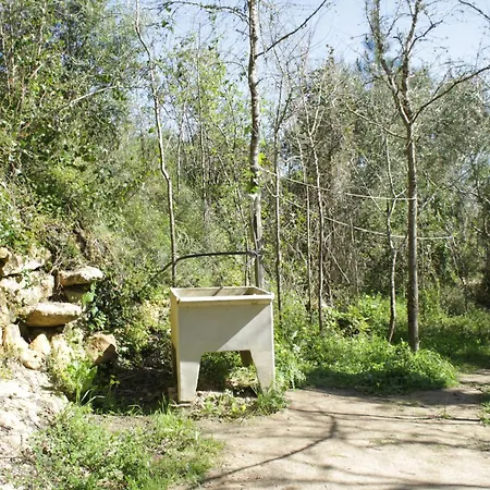 Kemping Hidden Forest Retreat *