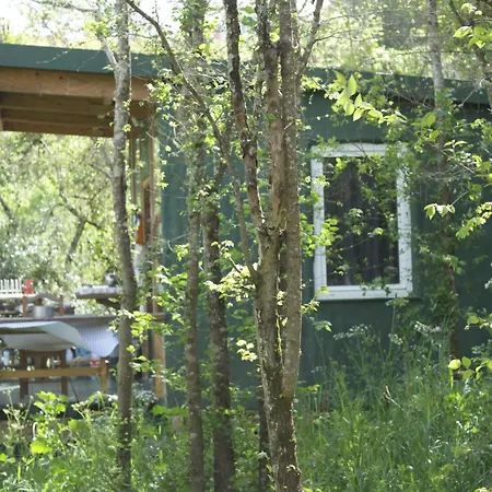 Hidden Forest Retreat مكان تخييم Carvoeira