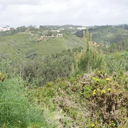 Hidden Forest Retreat Kemp Carvoeira