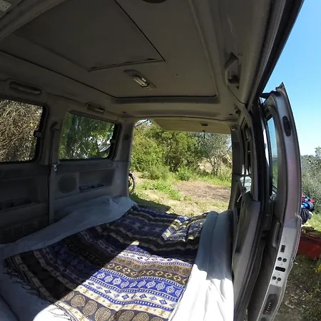 Hidden Forest Retreat * Carvoeira