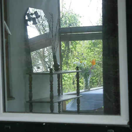 Kemping Hidden Forest Retreat Carvoeira