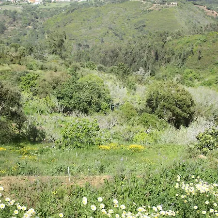 Kemping Hidden Forest Retreat *