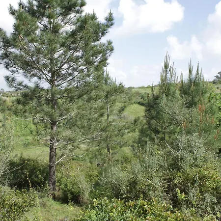 Hidden Forest Retreat * Carvoeira