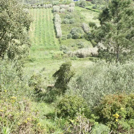 Hidden Forest Retreat Kemp