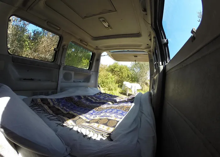 Campingplads Hidden Forest Retreat *