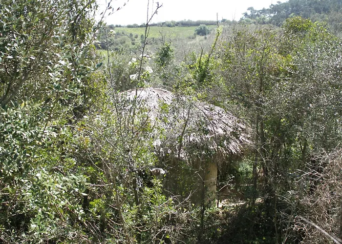 Campingplads Hidden Forest Retreat