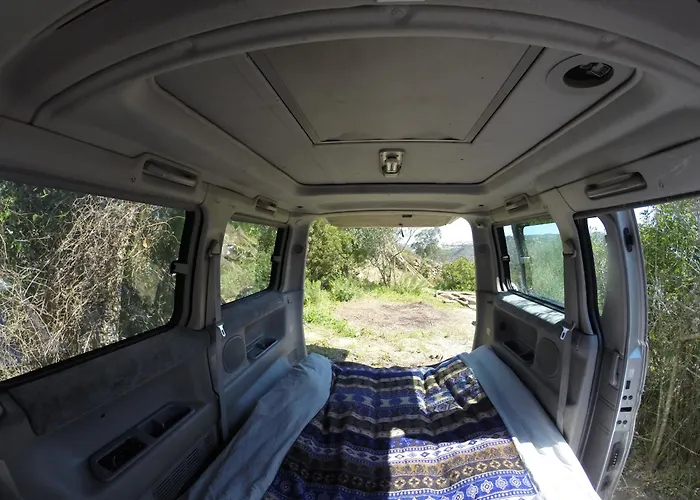 Campingplads Hidden Forest Retreat