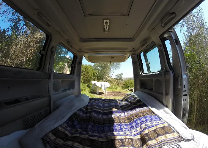 Hidden Forest Retreat Campingplads *