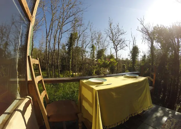 キャンプ場 Hidden Forest Retreat Carvoeira