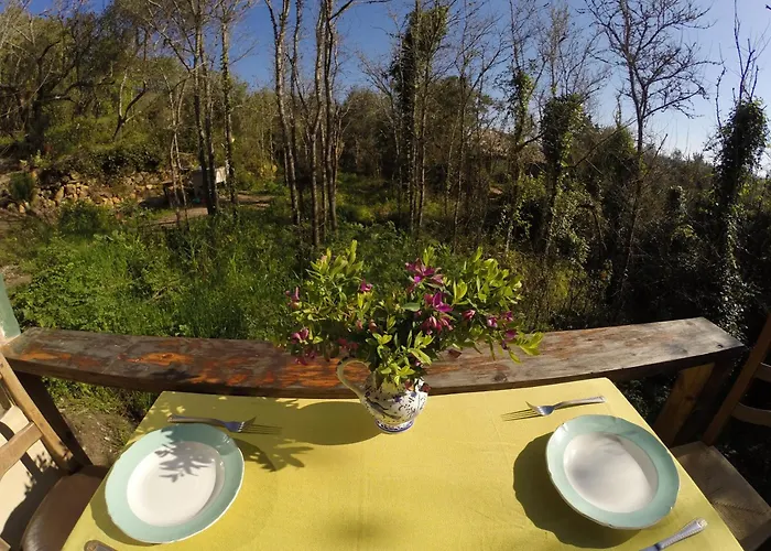 Hidden Forest Retreat キャンプ場 Carvoeira