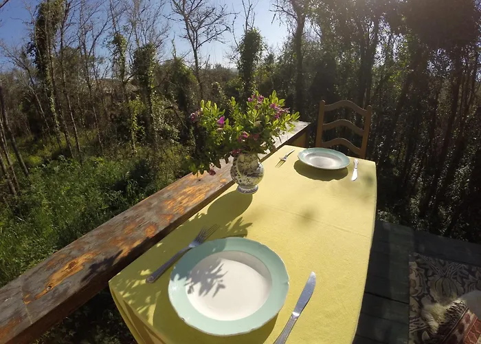 Campingplads Hidden Forest Retreat