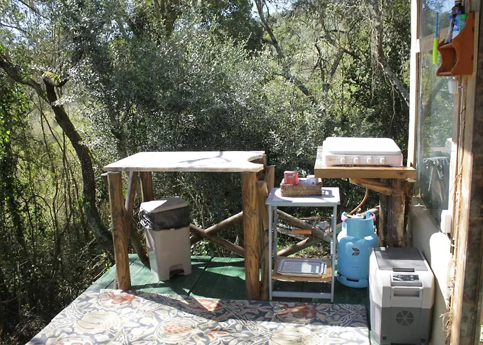 Hidden Forest Retreat キャンプ場 Carvoeira