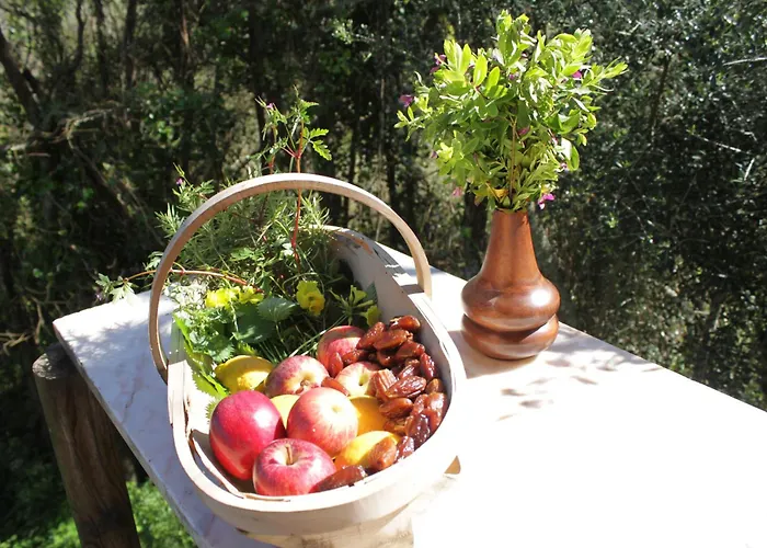 Campingplads Hidden Forest Retreat *