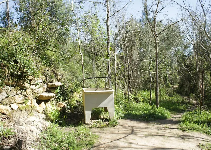 Campingplads Hidden Forest Retreat *