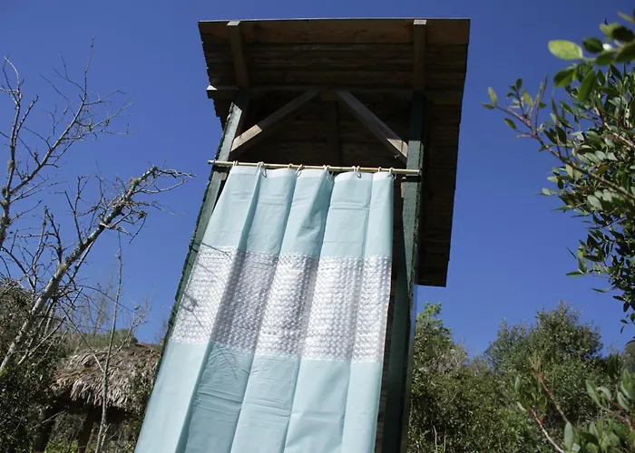 Hidden Forest Retreat Campingplads *