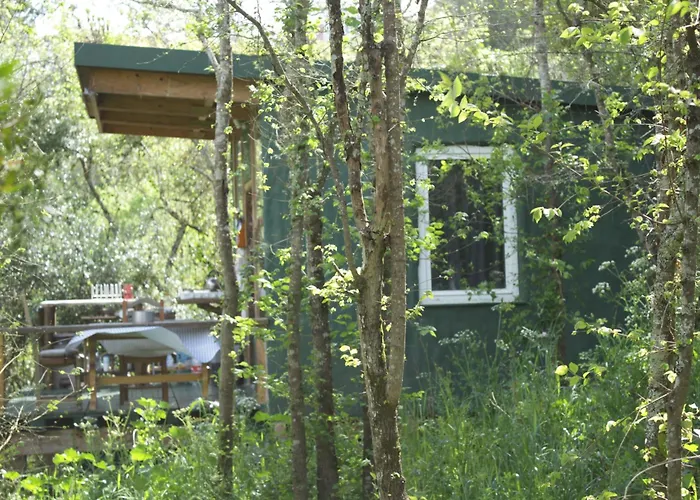 Hidden Forest Retreat キャンプ場 Carvoeira
