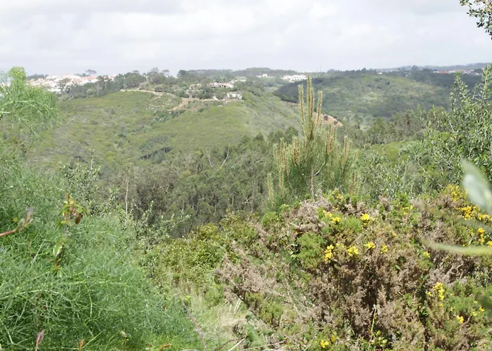 Hidden Forest Retreat Campingplads Carvoeira