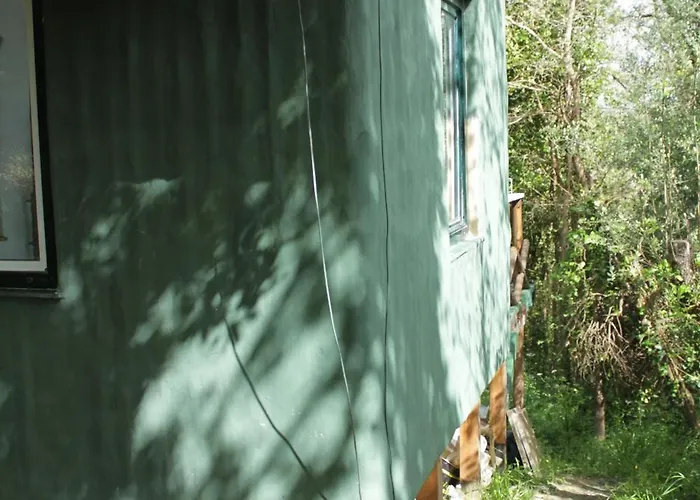 Hidden Forest Retreat Campingplads *