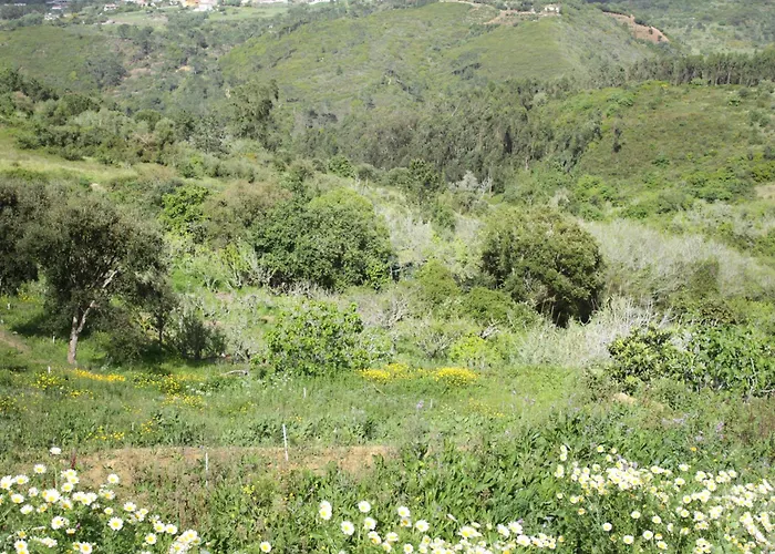 Campingplads Hidden Forest Retreat *