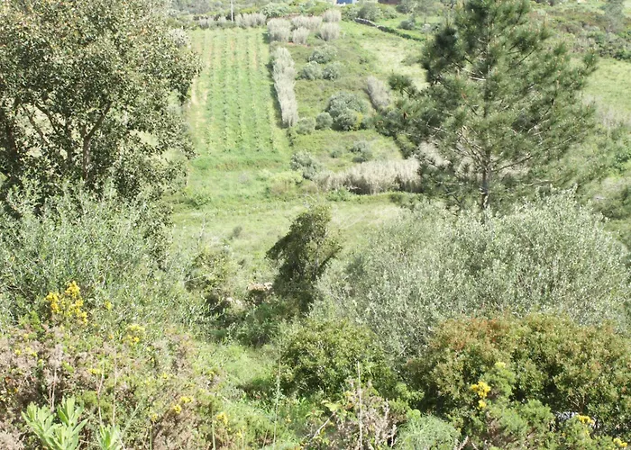 Hidden Forest Retreat Campingplads